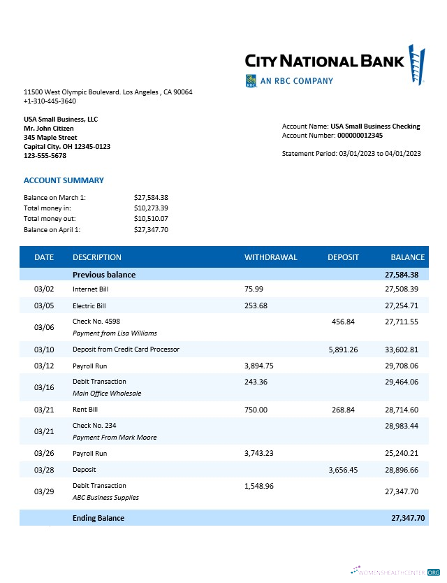 Download City National Bank organization statement Word and PDF template Photoshop template
